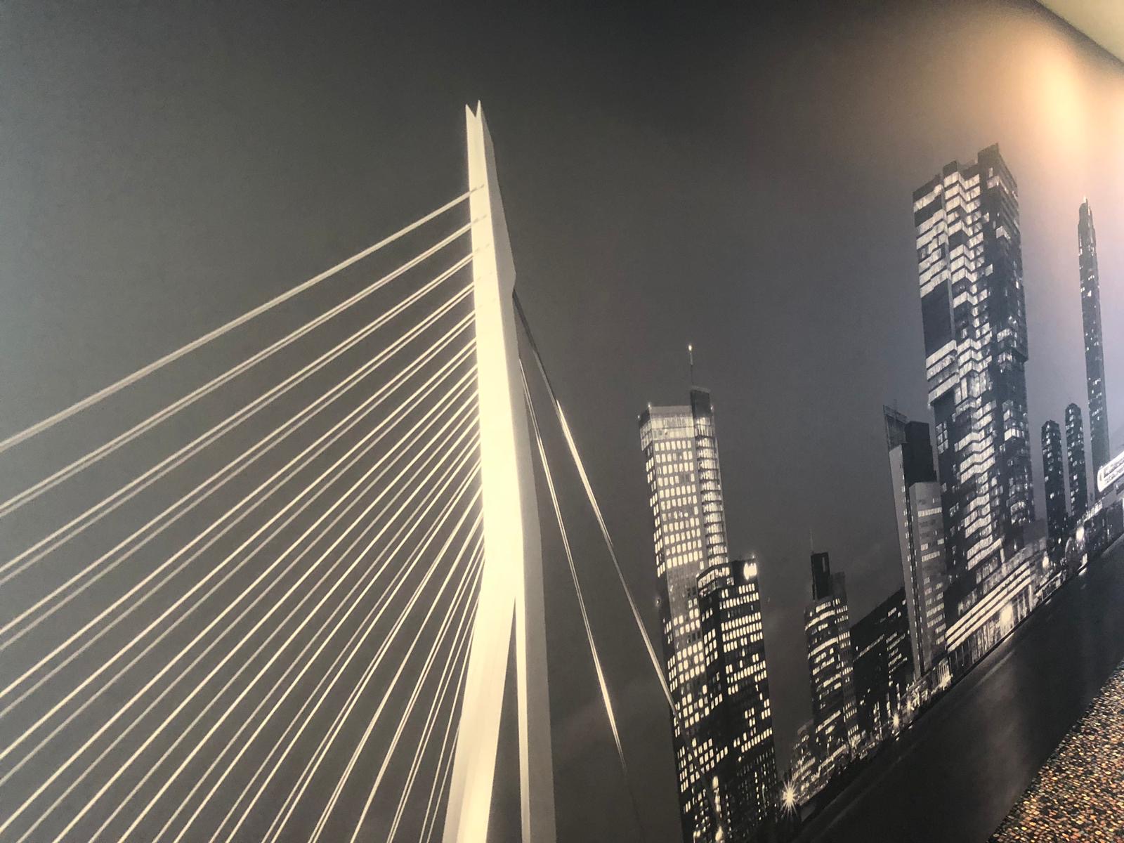 797Ce7de Fd3b 4A6b A21e 150314E82078